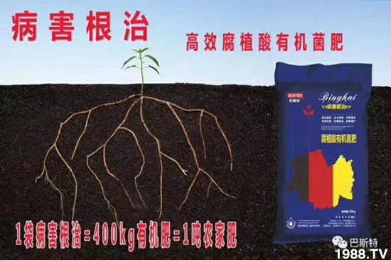     ���׌�Nֲ׃�ø��p����һ���ײͣ�ȫ���䷽����˹�ش󽪠I�B(y��ng)�ײͷ�����