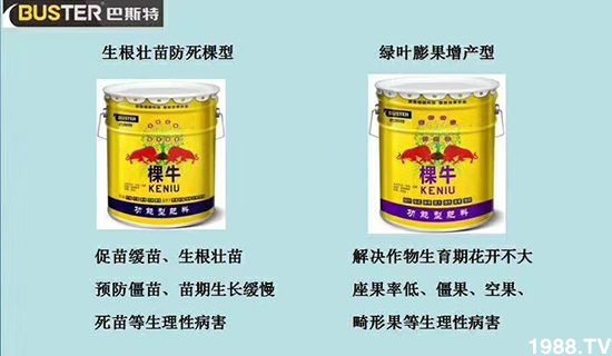     ���׌�Nֲ׃�ø��p�ɣ�һ���ײ���ȫ���䷽����˹�ش󽪠I�B(y��ng)�ײͷ�����