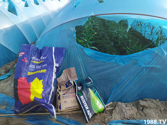     ���׌�Nֲ׃�ø��p����һ���ײ���ȫ���䷽����˹�ش󽪠I�B(y��ng)�ײͷ�����