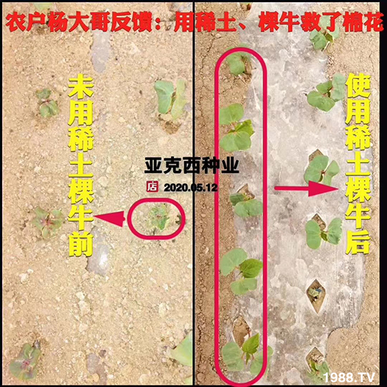     ���׌�Nֲ׃�ø��p�ɣ�һ���ײ���ȫ���䷽����˹�ش󽪠I�B(y��ng)�ײͷ�����