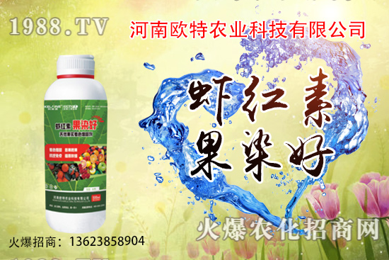  草莓苗品種如何選擇，怎么提高草莓苗種植成活率？