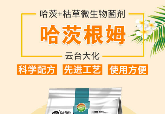 哈茨根姆-云臺(tái)大化_01