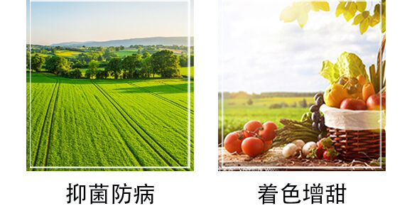 ����ֲ�����-��С��_05