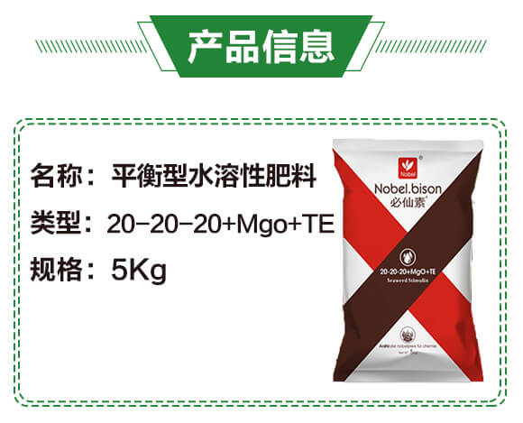 ƽ����ˮ���Է���20-20-20+Mgo+TE��5Kg��-�Zؐ��_02