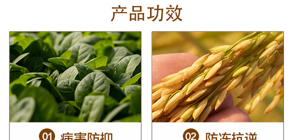 ΢���������500ml��-�ك|�U��-�A�I����_04