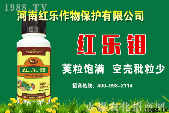 �t��(l��)�f-�t��(l��)