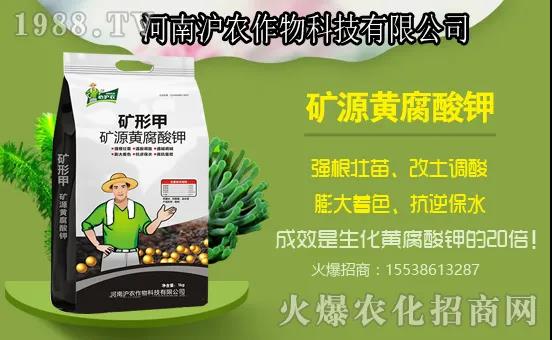 �Ϲ����L���Ďׂ��^�̣��Ϲ�ʩ��Ҫ�c����ʲô���Ϻ���