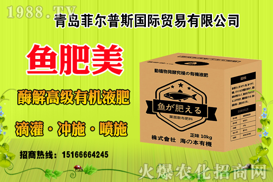 玉米結(jié)實(shí)不好啥原因？有法補(bǔ)救嗎？玉米結(jié)實(shí)不良改善措施！