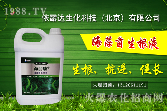 獼猴桃有哪些品種，獼猴桃和奇異果有什么區(qū)別？