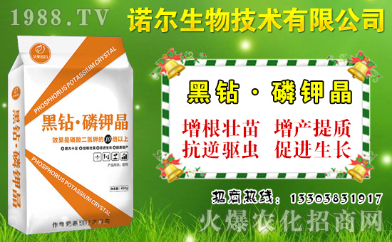 ����˶����ʩ�����˶�������c(di��n)�cʩ�ʼ��g(sh��)��