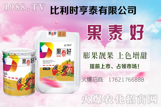 油茶樹的價格怎樣？種植前景如何？油茶樹畝產(chǎn)效益分析！