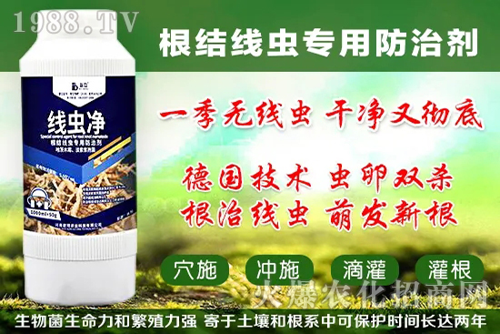 �������״���ʲô���ã��������״���������x����