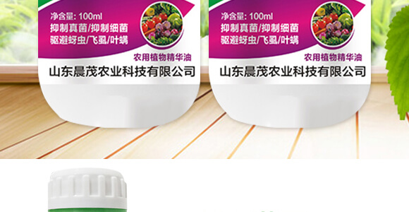 �M(j��n)��������-�����`-��ï�r(n��ng)�I(y��)_03