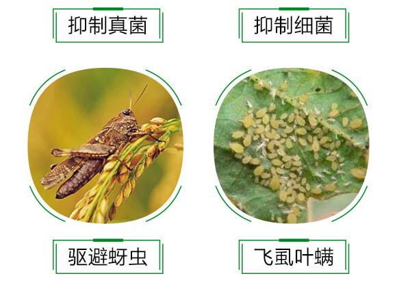 �M(j��n)��������-�����`-��ï�r(n��ng)�I(y��)_06