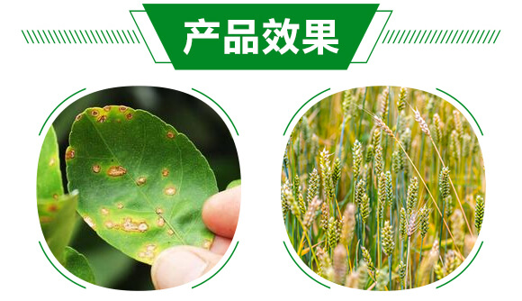 �M(j��n)��������-�����`-��ï�r(n��ng)�I(y��)_05