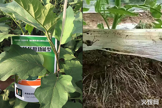 �߲�ˮ����������