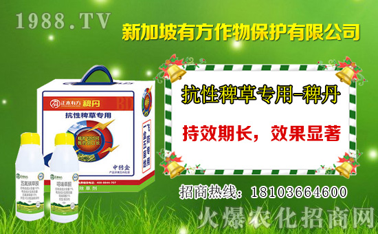 ��Ч�����׺��`���݄��r��1��12��