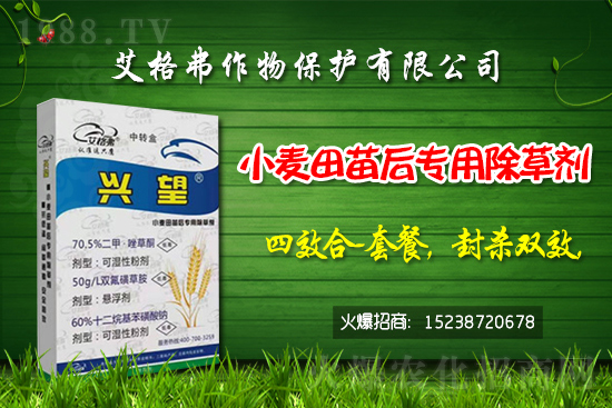 硝磺草酮除草劑價(jià)格2021年1月15日