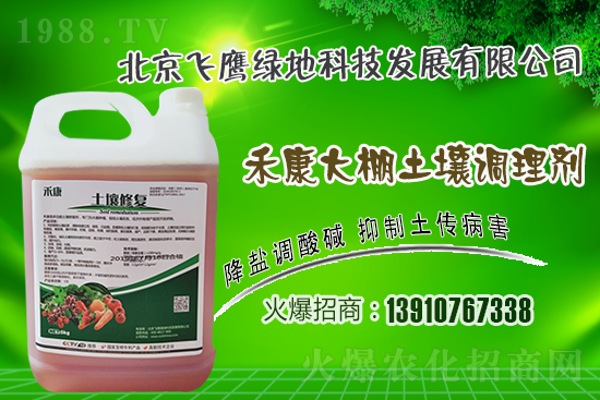 紫皮大蒜怎么種植？紫皮大蒜高產(chǎn)栽培技術(shù)！