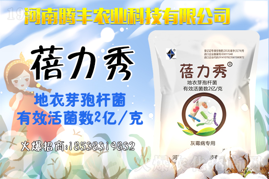 2021��2��21���ٶ����������r(ji��)���߄�