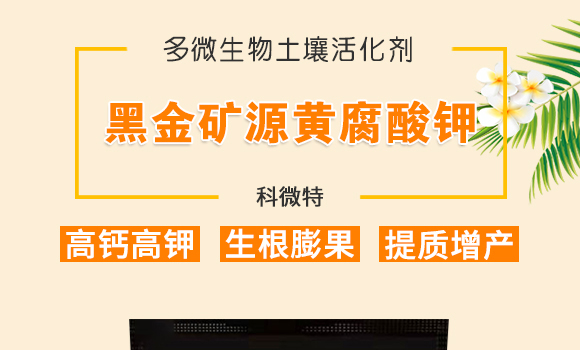 �ڽ�VԴ�S�����-��΢��_01