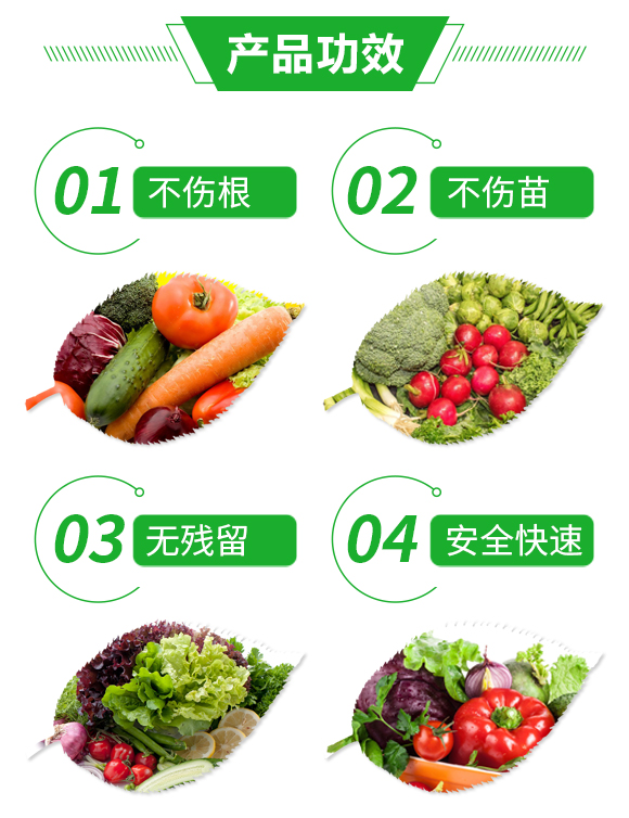 ΢�������-�o����-��ڌ�-�{���r��_03