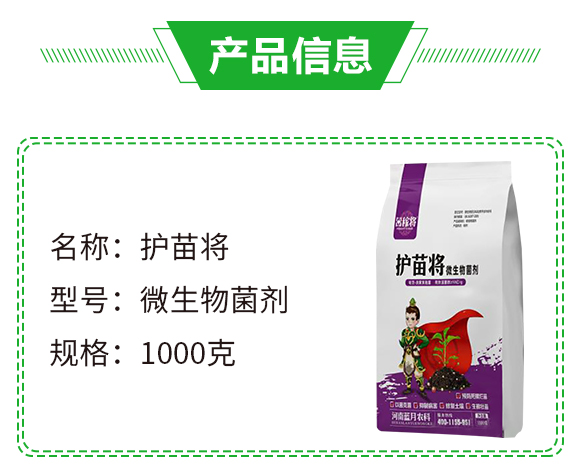 ΢�������-�o�猢-��ڌ�-�{���r(n��ng)��_02