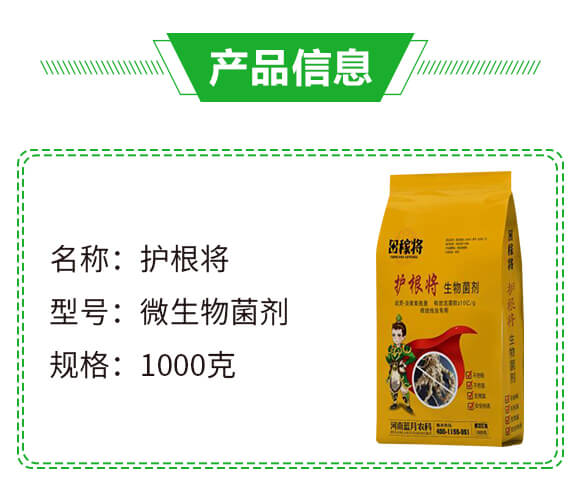 ΢�������-�o����-��ڌ�-�{���r��_02