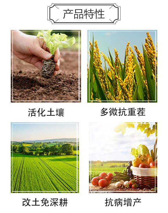 ΢�������-Ħ�_��-���A����_03