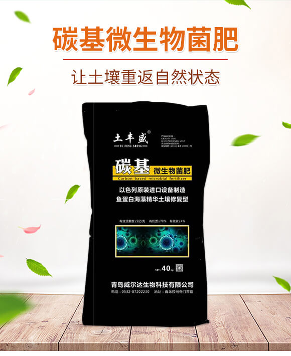 ̼��΢�������-���Sʢ-�����__01