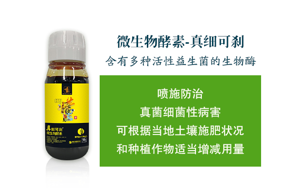 �������ý�-΢�������_02