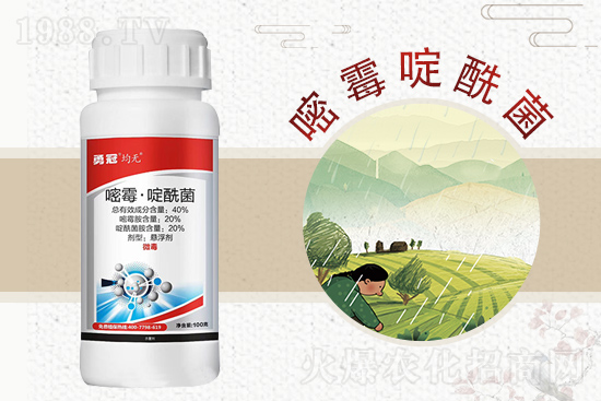 �¹چ̵��ٺ�1988.TV���T�����x����