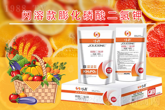 �����P(gu��n)ϵ�����A��ɽ�|�f��ȵ��m(x��)�s1988.TV��