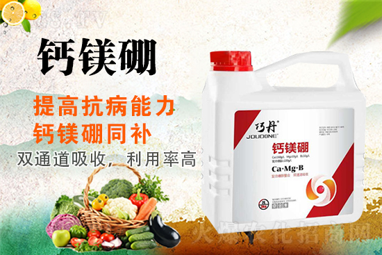 �����P(gu��n)ϵ�����A��ɽ�|�f��ȵ��m(x��)�s1988.TV��