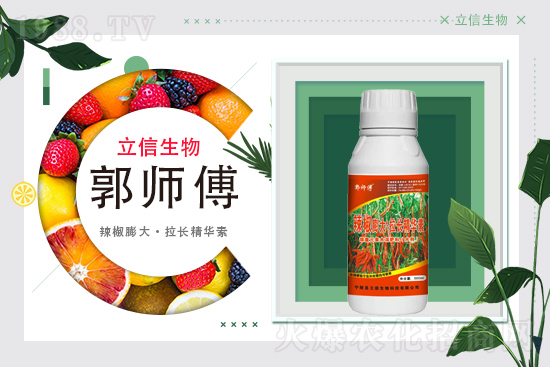 ���������m(x��)�s1988.TV���y�ֹ���(chu��ng)���x����