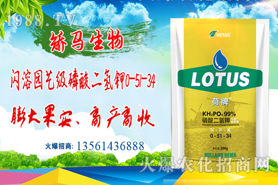 ⛷ʃr(ji��)���ů��11��15��⛷ʃr(ji��)������