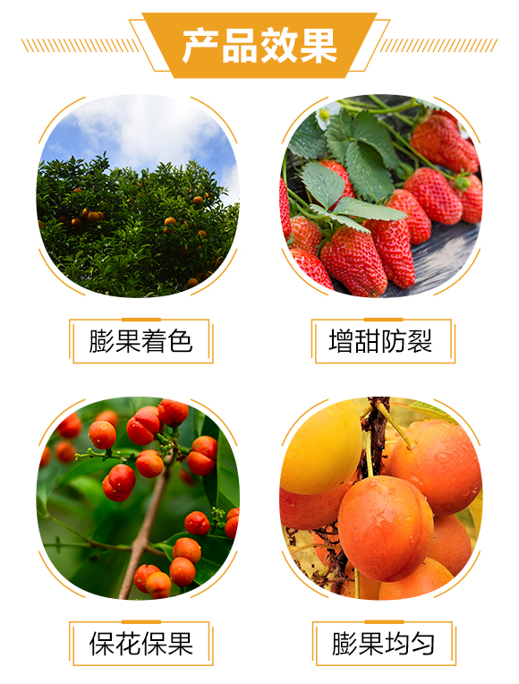 �o(h��)�����H2_03