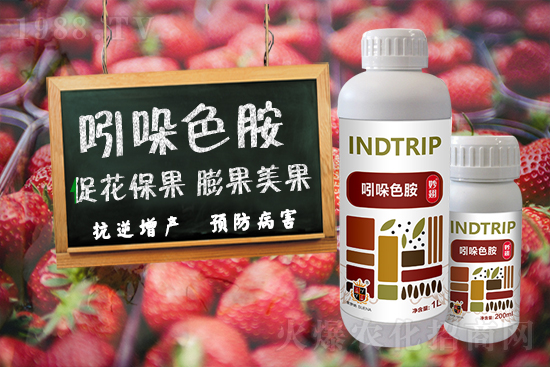 ���r(n��ng)���W(w��ng)ϲӭ���������������𱬁��u��