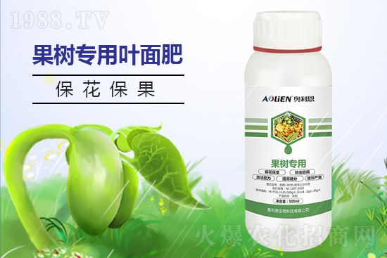 ���@�r(ji��)���ů��11��6�����@�r(ji��)������