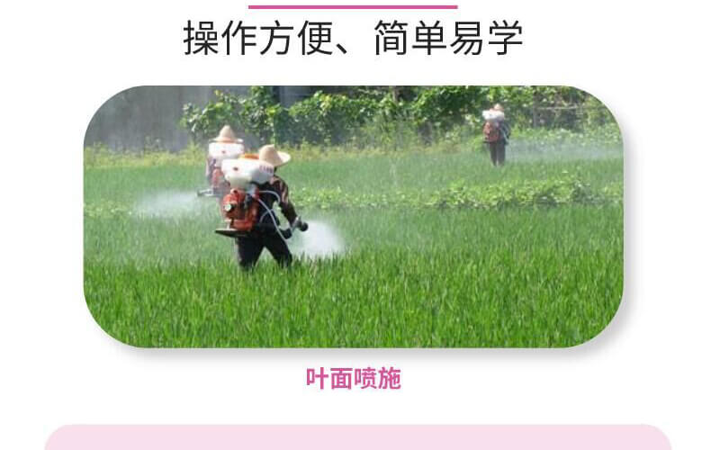 �~������-�n�-������_12