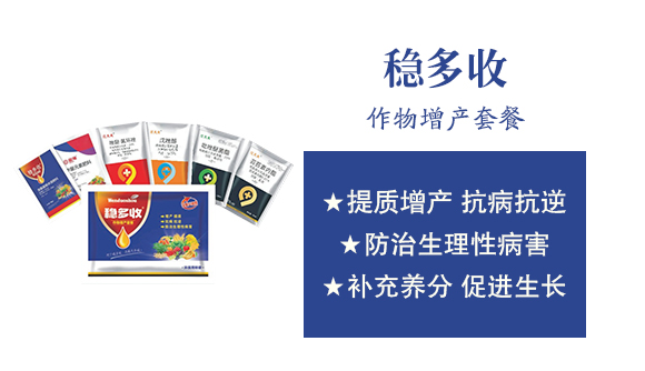 河南中科農(nóng)業(yè)科技研究院3_02