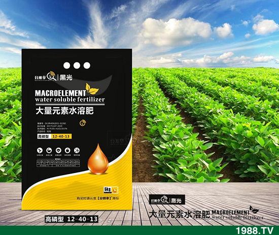 ����(w��n)�\����2021.12.31����������@�r��