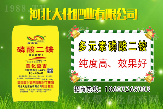 小麥價(jià)格多少錢一斤？2021年3月12日麥價(jià)格分析