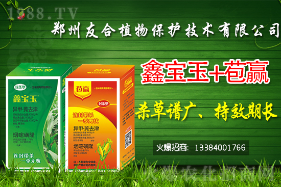 ���݄��r(ji��)���Ӎ2021��4��28��