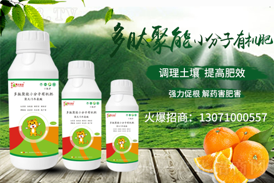 ��(zh��n)�Ժ�������������˹���ʘI(y��)�y��1988.TV�ل�(chu��ng)�x����