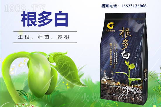 �����P(gu��n)ϵ�����A�����ý������ٺ�1988.TV������(chu��ng)���x�ͣ�