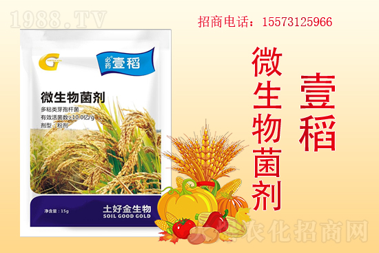 �����P(gu��n)ϵ�����A�����ý������ٺ�1988.TV������(chu��ng)���x����