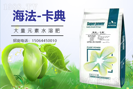 �r(n��ng)���W(w��ng)ϲӭ���������y���Z��˹����ؔ(c��i)��֮·��