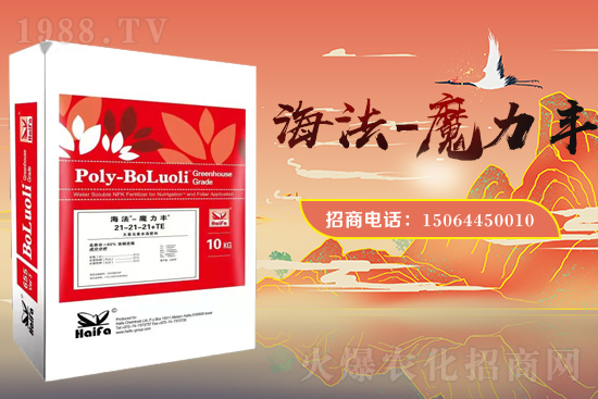 �r(n��ng)���W(w��ng)ϲӭ���������y���Z��˹����ؔ(c��i)��֮·��