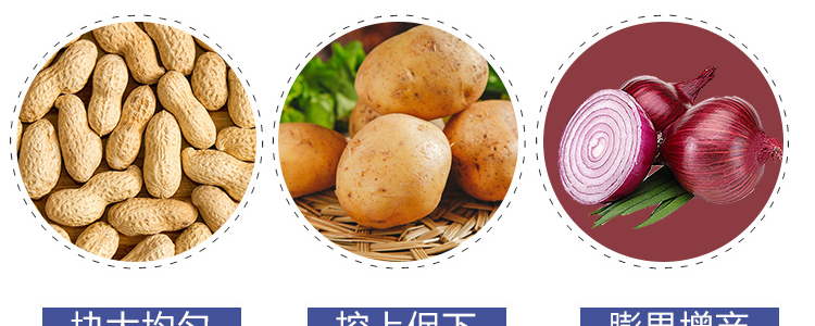 �������_16